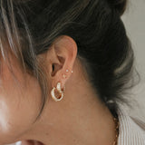 Criollas Aguas 15 mm