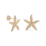 Starfish