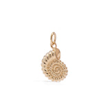 Collar Ammonite