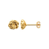 Rosé Golden