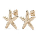 Starfish