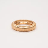 Anillo Bucle