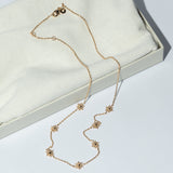 GARGANTILLA NANUK MINIS GOLDEN