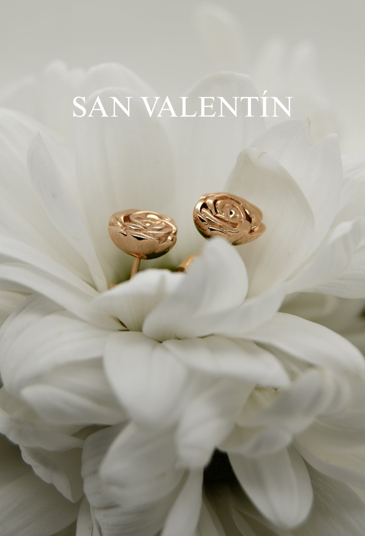 Imagen de diapositiva