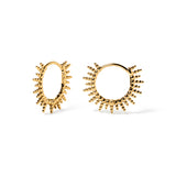 CRIOLLAS CHLOE GOLDEN