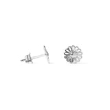 ARIES SILVER