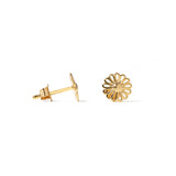 ARIES GOLDEN