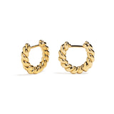 Criollas Regina Golden