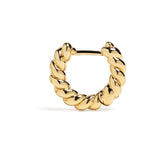 Criollas Regina Golden