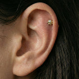 Piercing abanico golden