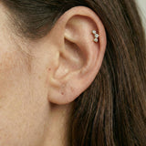 Piercing Carolina